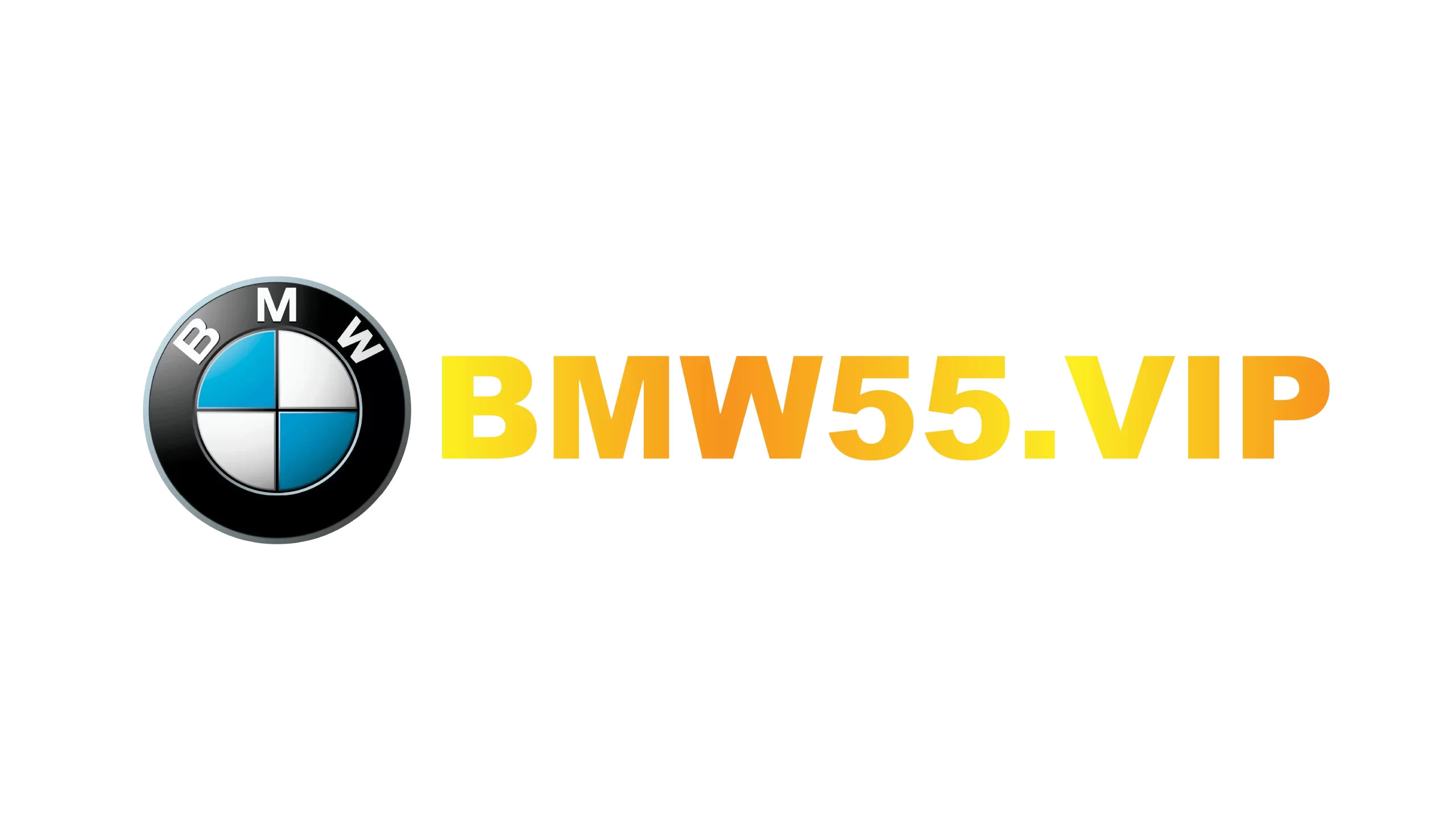 bmw555